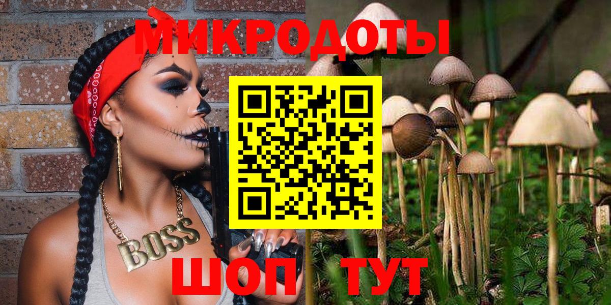 Псилоцибиновые грибы Psilocybe Рославль