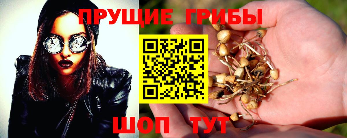Псилоцибиновые грибы мухоморы  Галлюциногенные грибы мицелий  Рославль  Вход с VPN 